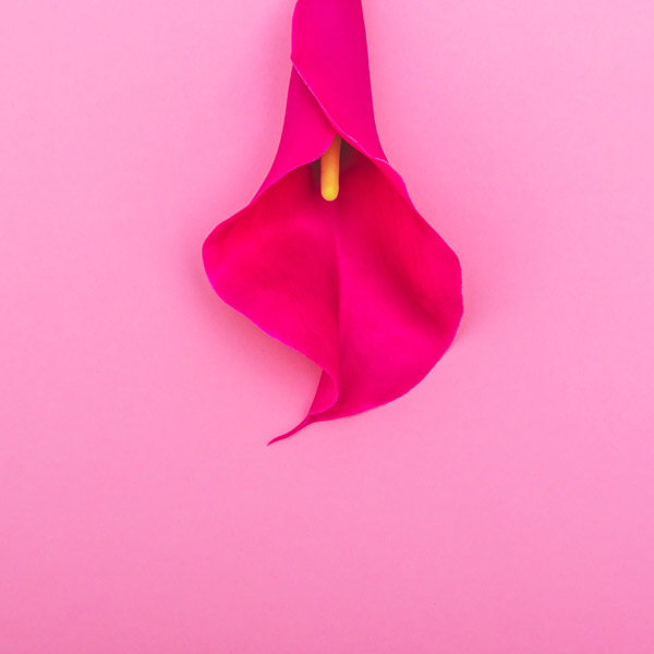 fleur vagin